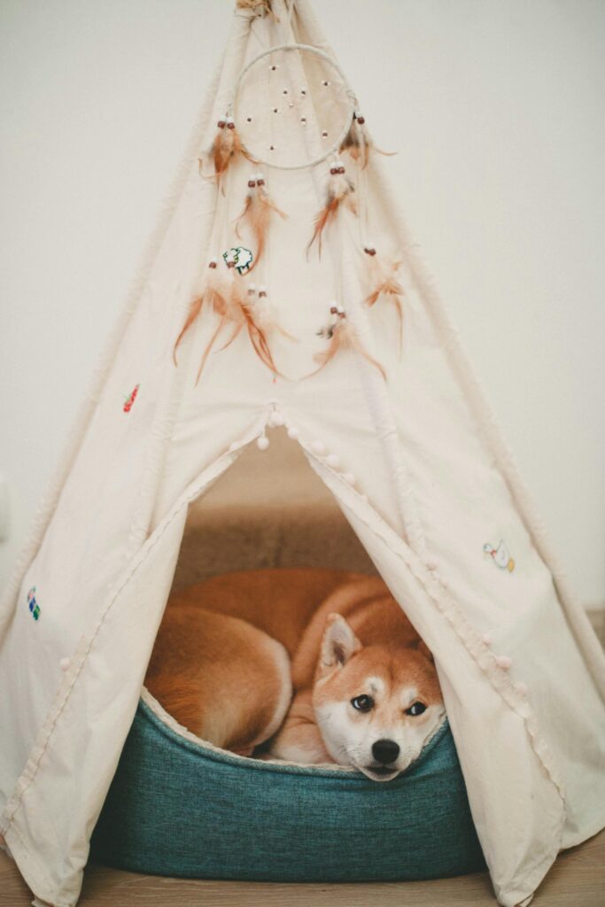 Travel Dog Bed